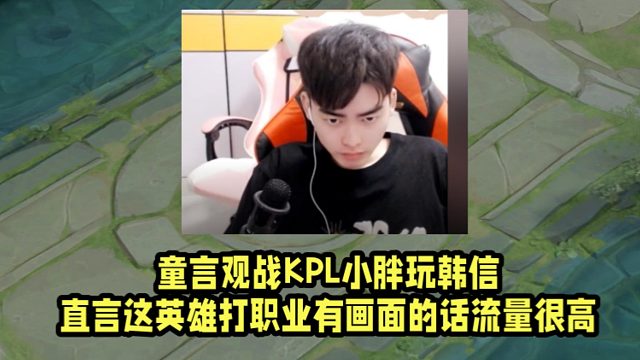 童言观战KPL小胖玩韩信！直言这英雄打职业有画面的话流量很高！