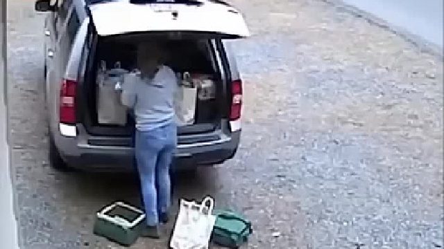 后备箱装满装备，准备开始森林探险！