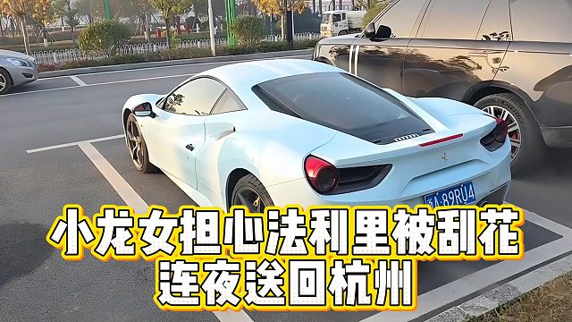 小龙女担心法利里被刮花，连夜送回杭州