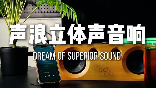 独属于您一个人的音乐会享受，DOSS声浪音响