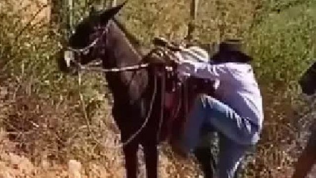 疯过闹过，活得洒脱