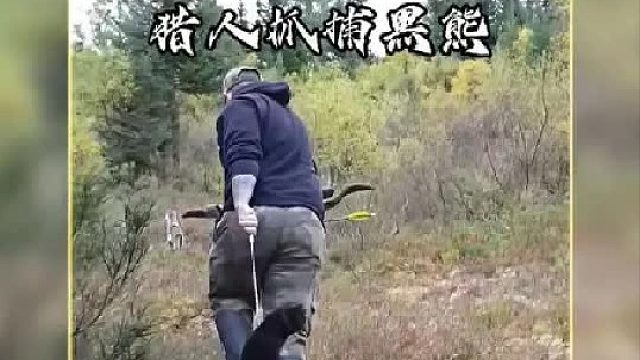 猎人利用美食对大黑熊进行抓捕