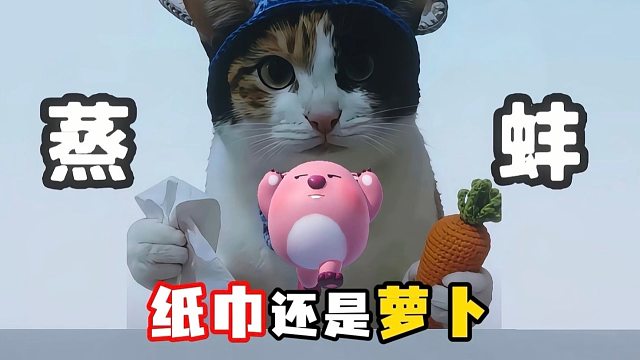小露比纸巾还是萝卜