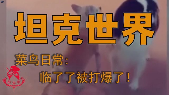 坦克世界—菜鸟日常：临了了被打爆了！