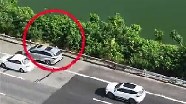 这绝对是大聪明