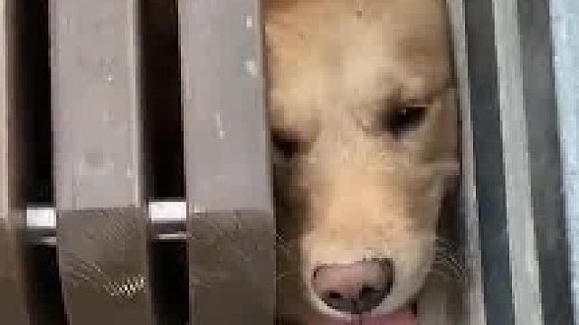 遇事凡事不要慌先拿出手机发个朋友圈