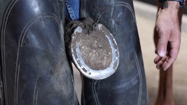 20260117 以为很糟糕，但结果更糟