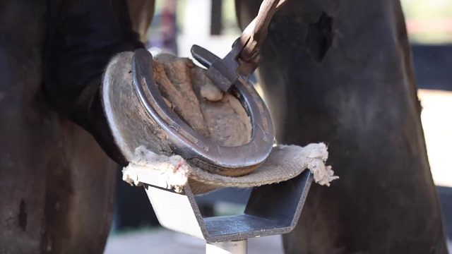 20260117 修复严重损坏的马蹄