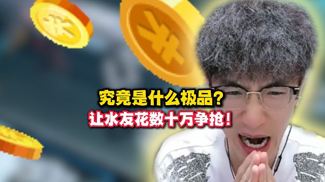 究竟是什么极品？让水友花数十万争抢！