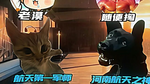 7jia杯“军神”出击