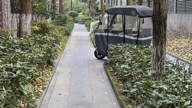 84万买的步梯顶楼！银杏叶终于黄了