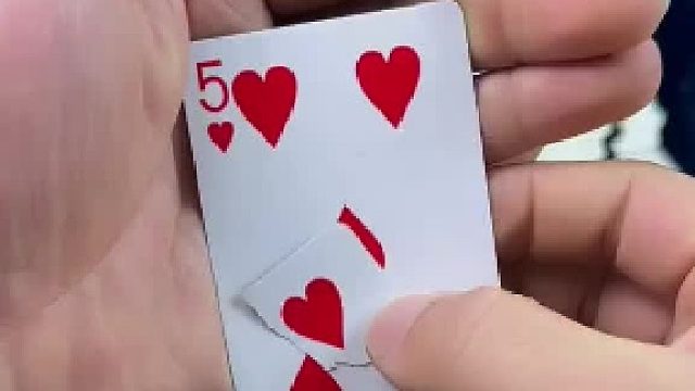 当你从背后看魔术，你发现了什么