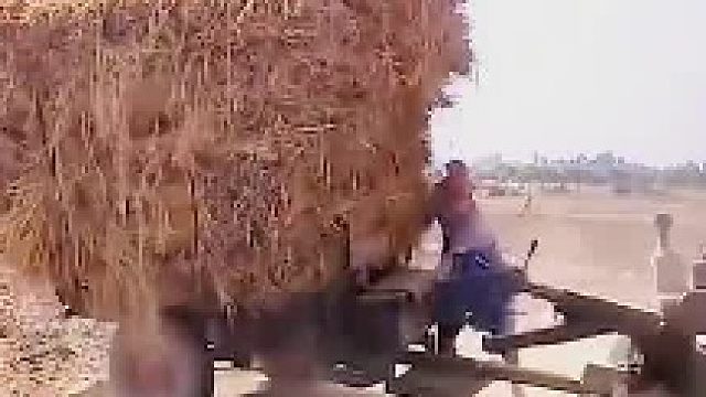 开这个打掉牙的太多