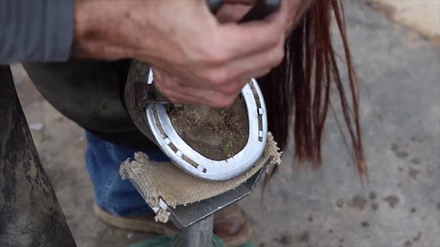 20260117 令人满意的 4K 马蹄修复！ ｜ 法瑞尔