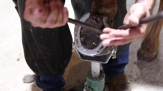 20260117 令人满意的完整马蹄修复！ ｜ 4K 法瑞尔