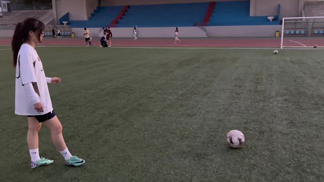 自由的风会吹动木纳的树