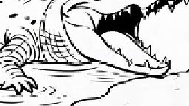 有种逃跑方式叫作：脱壳自保！太逗了哈哈～