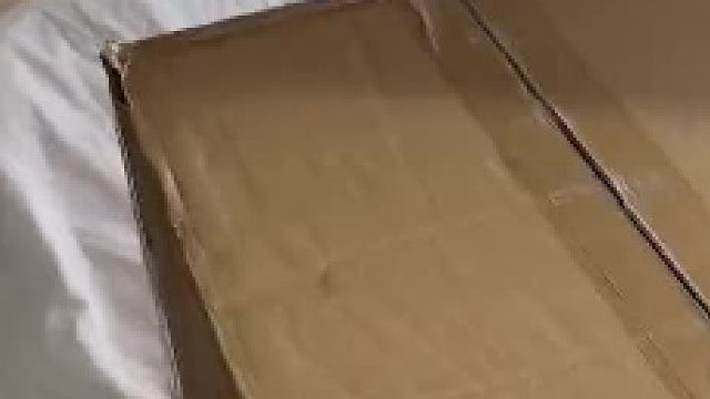 外国小姐姐沉浸式    视频