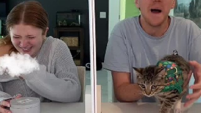 说谎盲猜挑战(3)