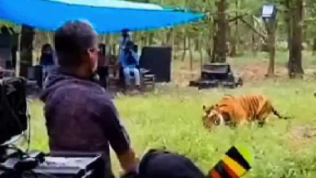 小鲜肉：有表演痕迹、