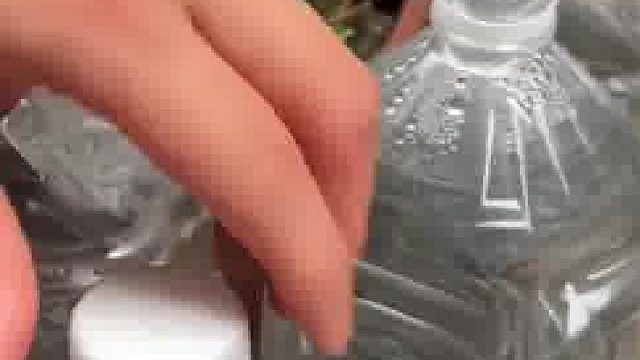 真是咸吃萝卜淡操心