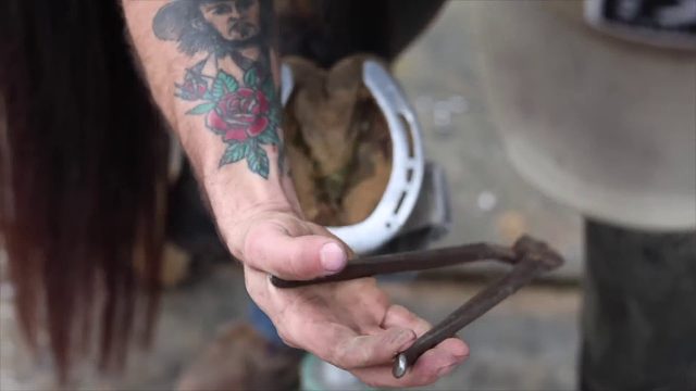 20260117 满意的后蹄修复