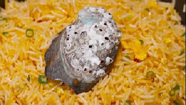 难道今天都有海鲜