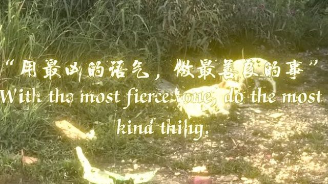 用最凶的语气，做最善良的事
