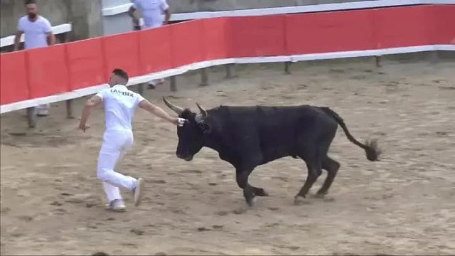 超硬核的摸牛头挑战赛，谁能摸到牛头的次数最多，奖金高达百万