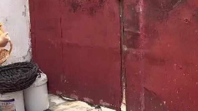 从破烂小院到新家改造进行中——按门