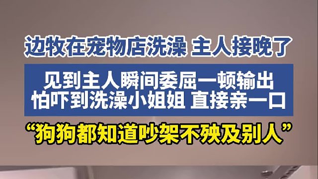 狗狗洗澡主人接晚了 见到主人瞬间一顿疯狂输出