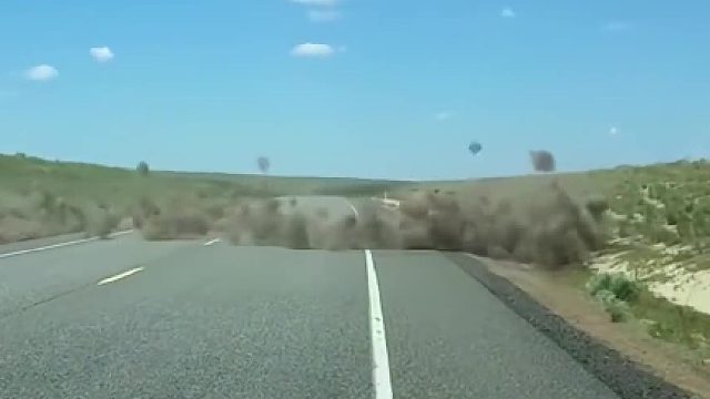 原神沙漠里有，还真的