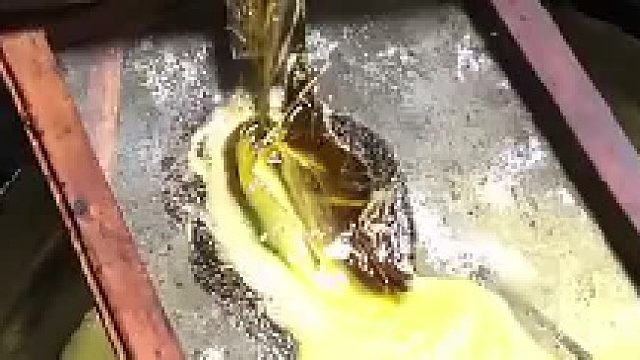 榨油的，我外公家有一个，即将失传的榨油工艺