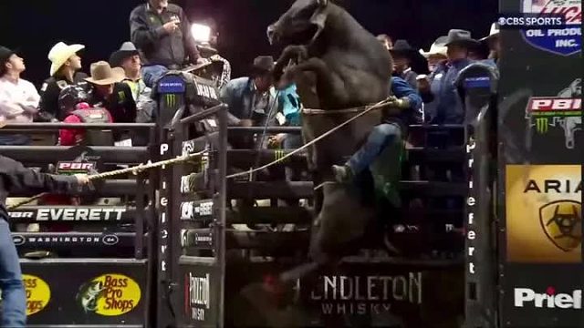 极限骑牛大赛，只要你能硬控牛哥八秒，就有机会赢得百万美金