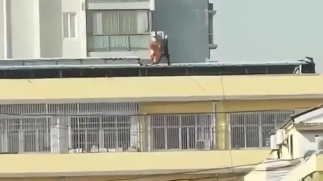 “向每一位消防员英雄致敬”