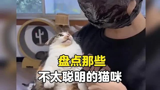 像谁就艾特谁