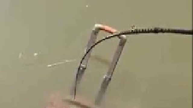 除鱼外，万物皆可钓起