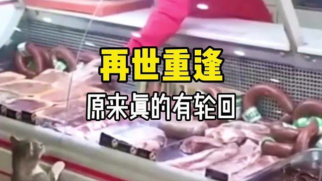 你相信这个世界上有轮回吗？