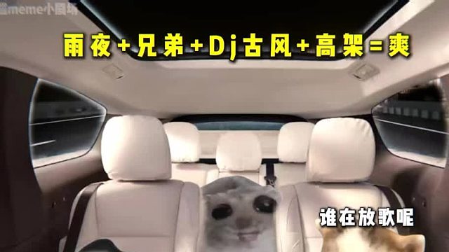 雨夜 兄弟 DJ古风 高架=爽
