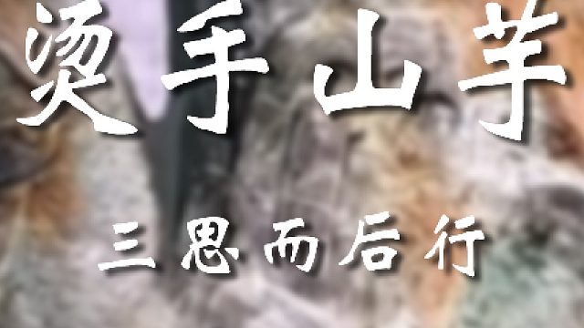 我是个老实人放过我吧