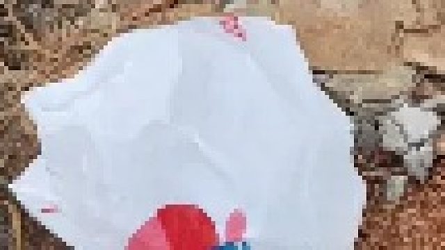 狗子的迷惑行为