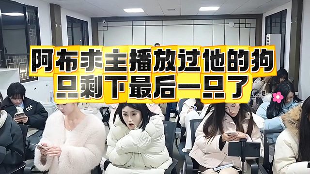 阿布求主播放过他的狗，只剩下最后一只了