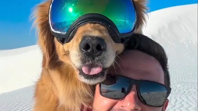 国外小哥奋斗多年终于实现财富自由，带着狗狗四处旅行打卡纪念