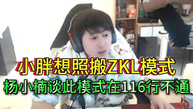 杨小楠谈小胖想在116照搬233模式行不通，两家公会性质不同