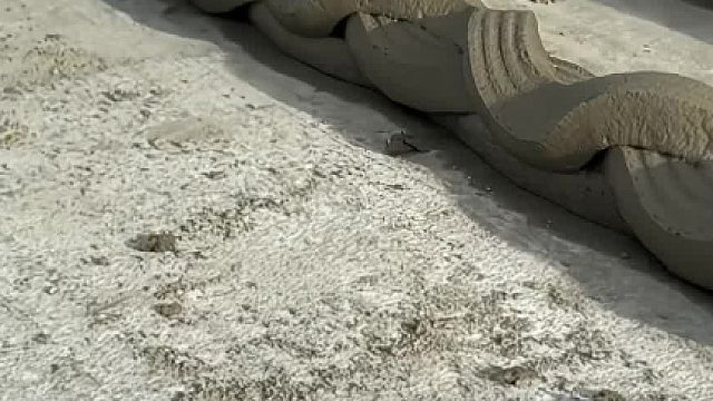 美国3D全自动化打印建房