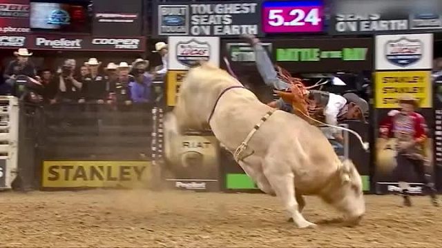 极度危险的骑牛大赛，谁能硬控牛哥八秒，就有机会获得百万奖金