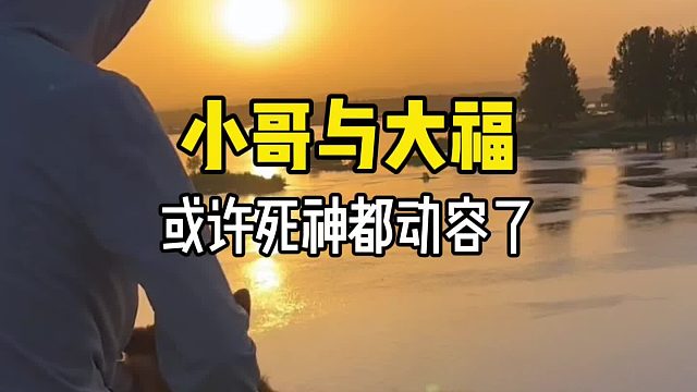 死神不让我奔跑，可我只听主人的……