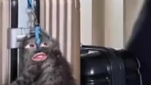 阎王爷 -什么玩意在门口晃了一下？