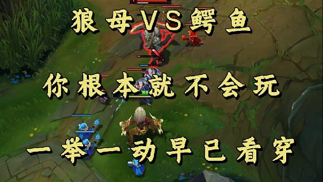 狼母VS鳄鱼 你根本就不会玩 一举一动早已看穿！