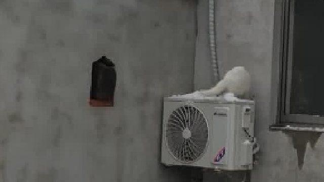 哈哈哈哈起飞啦～